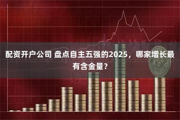 配资开户公司 盘点自主五强的2025，哪家增长最有含金量？